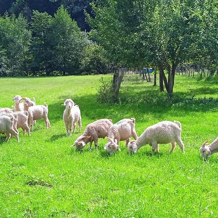 Au Mohair Des Alpy Fougax-et-Barrineuf Ngoại thất bức ảnh